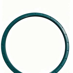 OIL SEAL for benbz truck 170X190X9.5